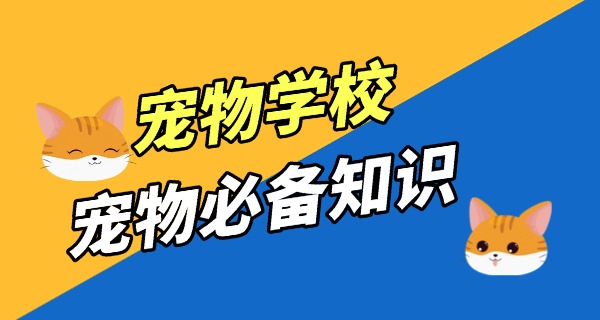 宜昌找宠物学校上哪找-宜昌宠物学校找