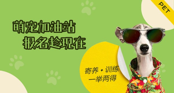 贵港宠物寄训学校在哪-贵港宠物寄训学校在哪里