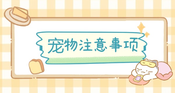 攀枝花宠物学校如何报名-攀枝花宠物学校报名