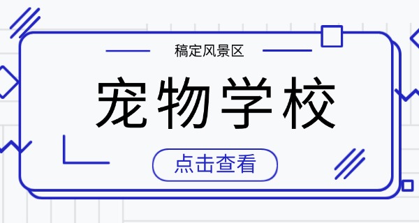 铜仁宠物狗学校哪家好-铜仁宠物狗学校好