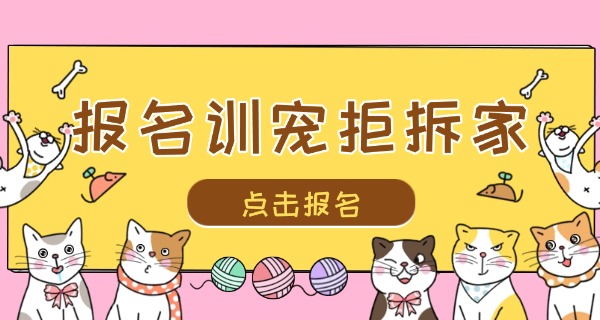 唐山哪里有宠物训练中心-唐山宠物训练中心