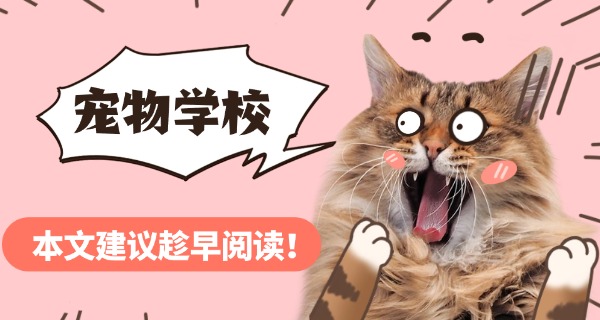 六安哪里找宠物狗学校-六安宠物狗学校在哪里