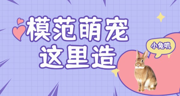 延安宠物学校如何招生-延安宠物学校招生