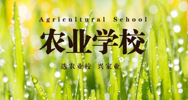 日照农校网商班-日照农校网商班
