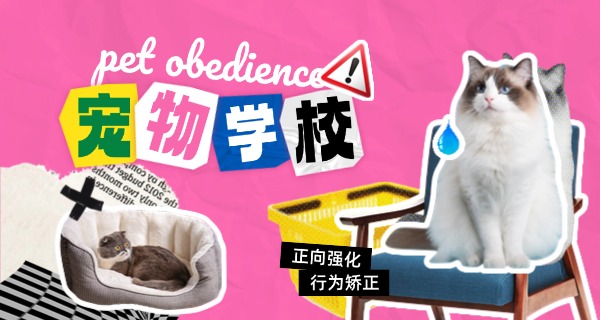 辽阳训狗的学校哪家好-辽阳好训狗学校